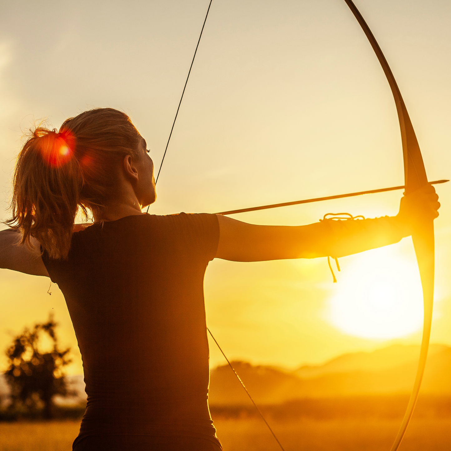 Beginner Archery Training Lesson