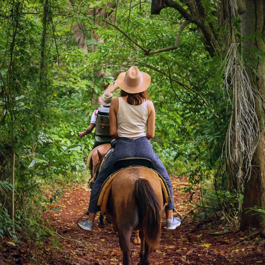 Guided Horse Trail Ride