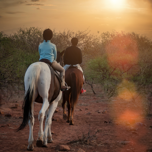 Private Guided Horse Trail Ride for Two