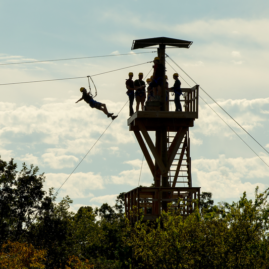 Zipline and Treetop Trekking Experience