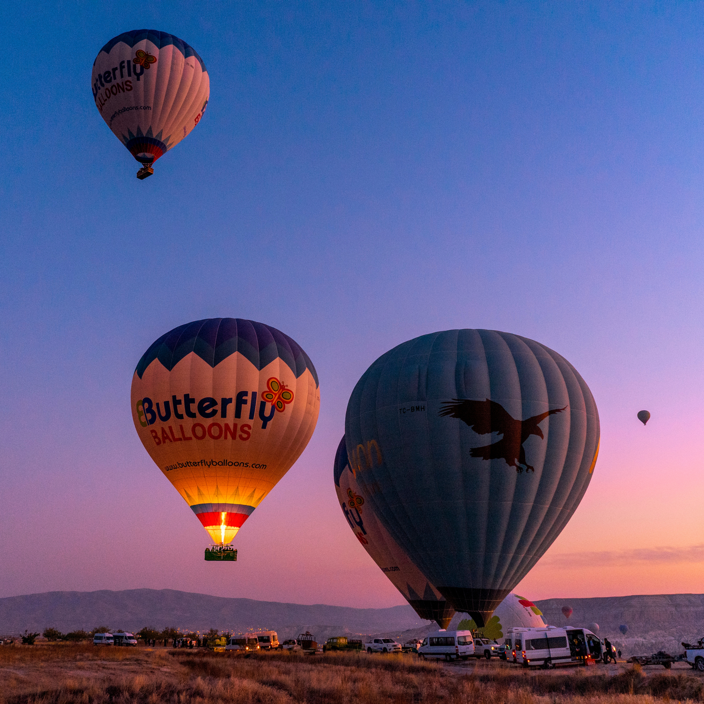 Hot Air Balloon Ride Experience